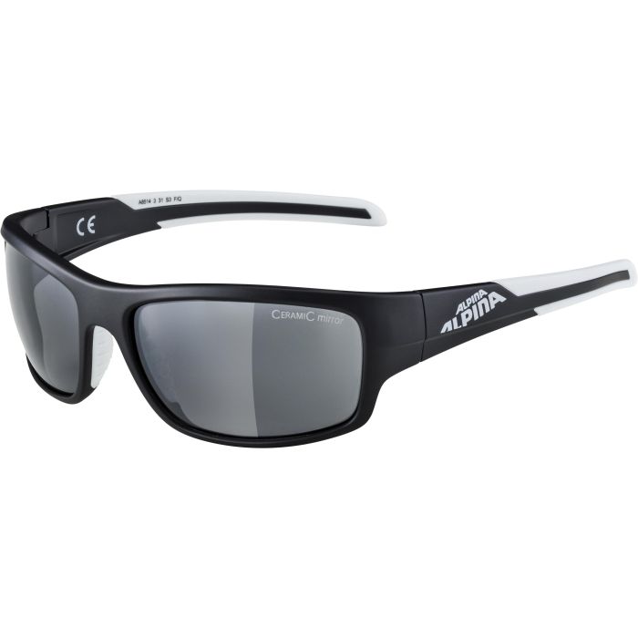 Alpina TESTIDO, sončna očala, črna | Intersport