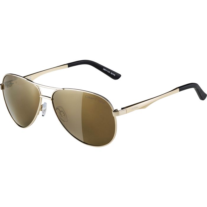 Alpina A 107, sončna očala, zlata | Intersport
