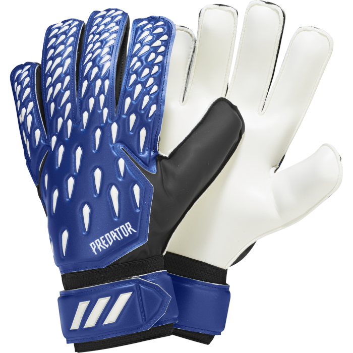 adidas PRED GL TRN, moške nogometne rokavice, modra | Intersport